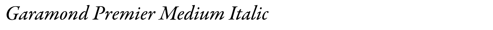 Garamond Premier Medium Italic image